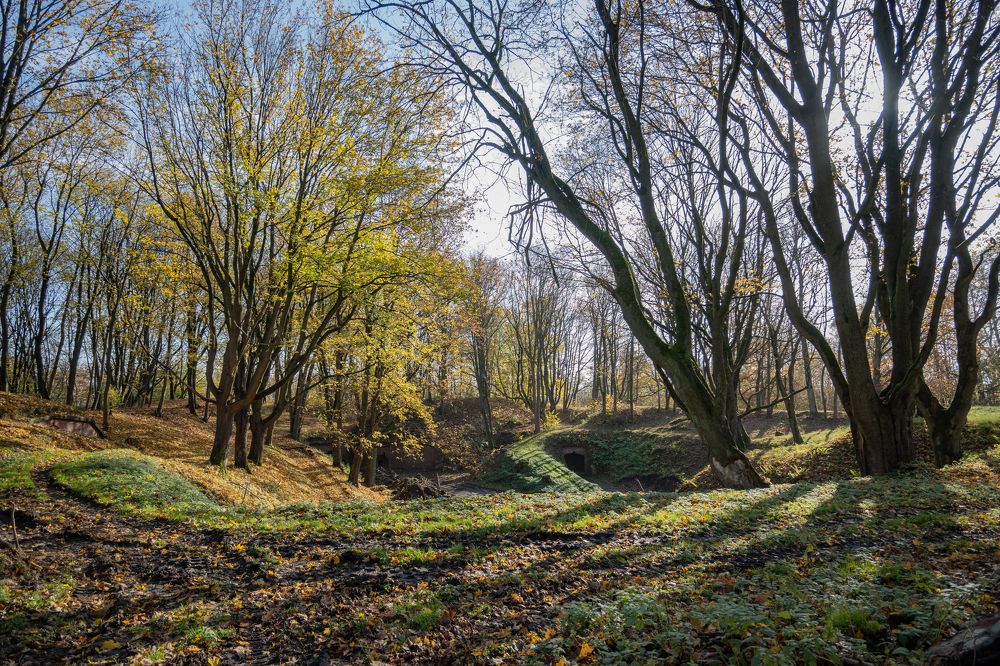 Photograph by Екатерина Богдасарова