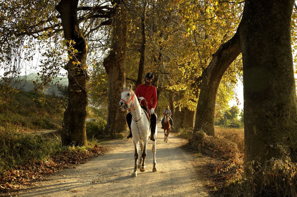Photograph by İNCİ KOYUNCU