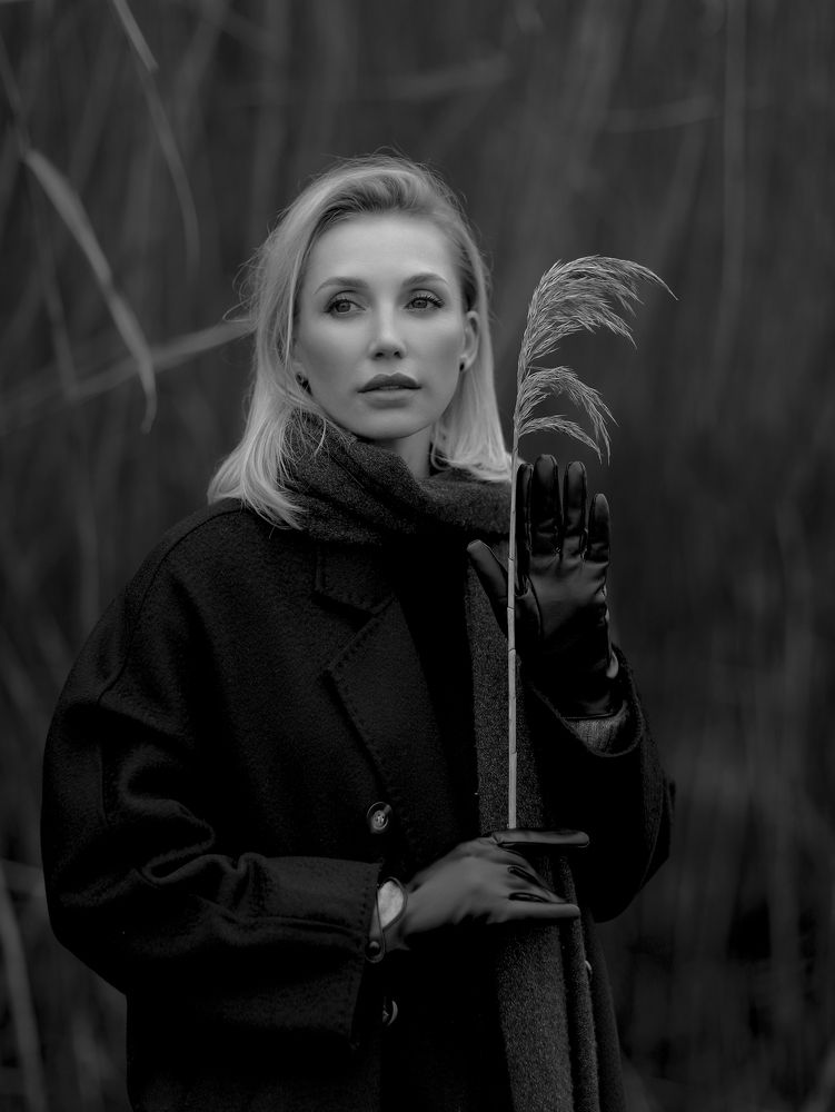 Photograph by Геннадий Литвинов