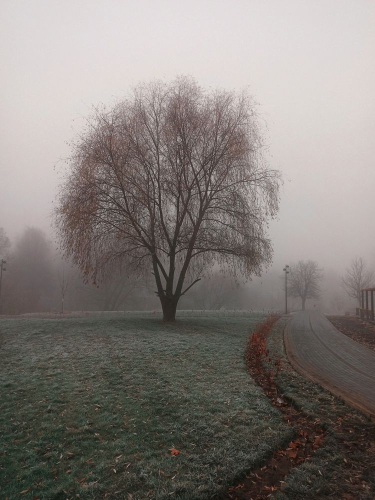 Photograph by Анна Савина
