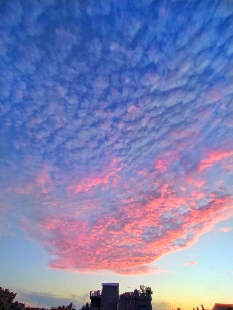 Photograph by Monoj Kumar Das