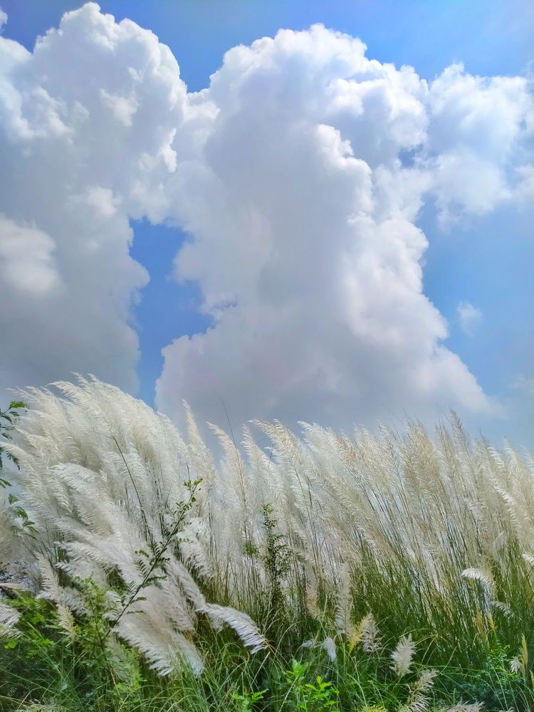 Photograph by Monoj Kumar Das