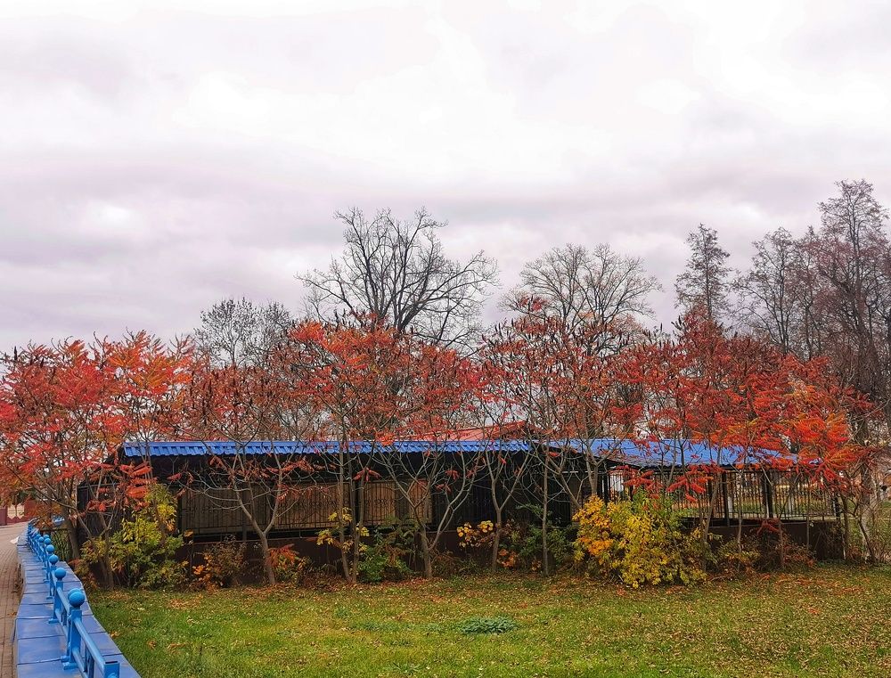 Фотография автора Ольга Матусевич