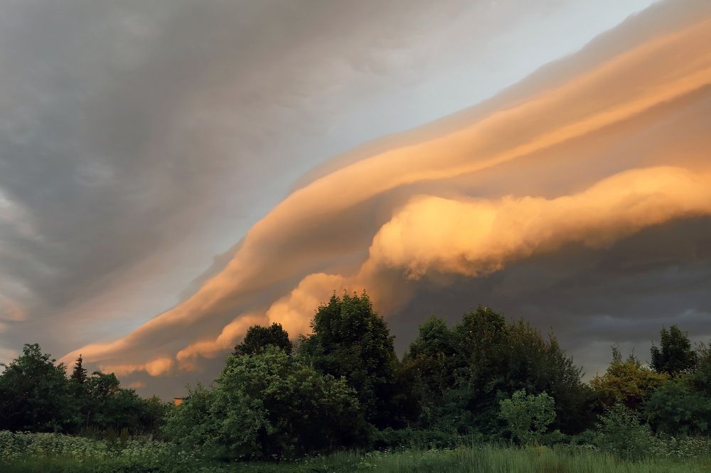 Photograph by Елена Врублевская