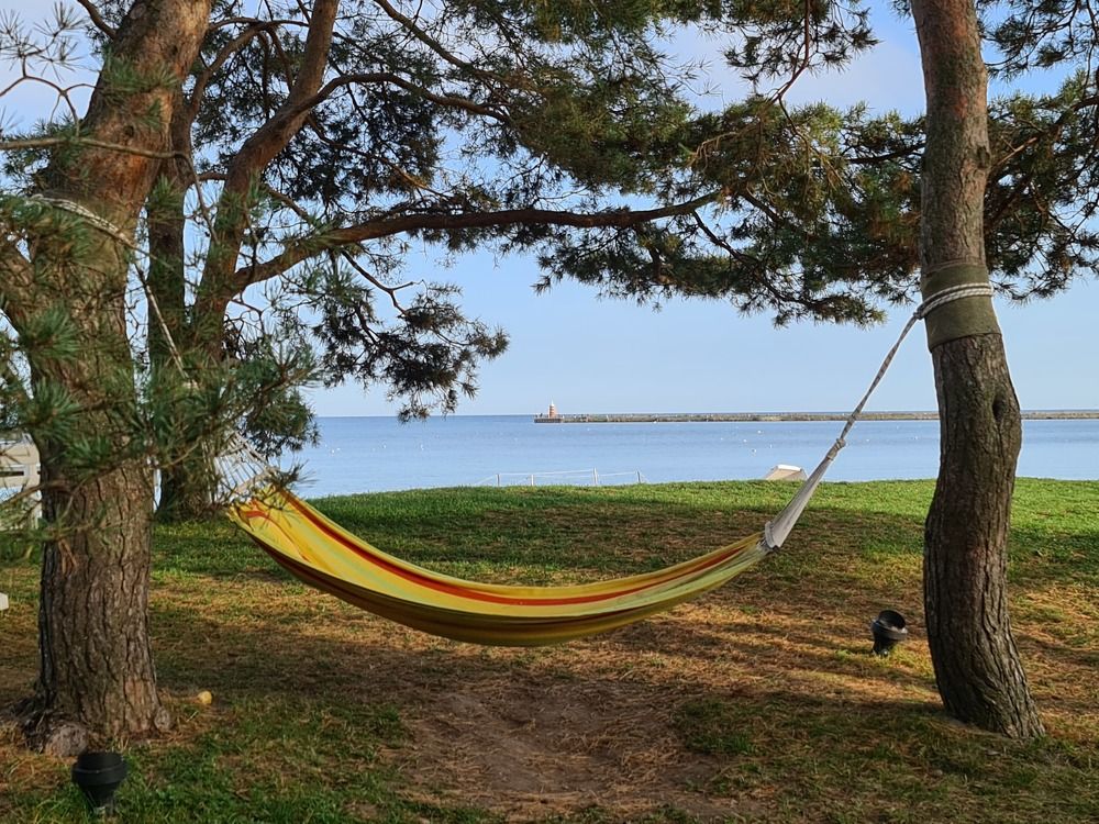 Photograph by Ekaterina Bogdasarova