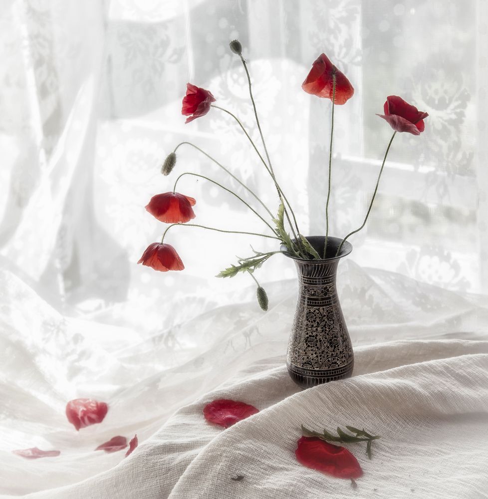 Photograph by Тамара Андреева