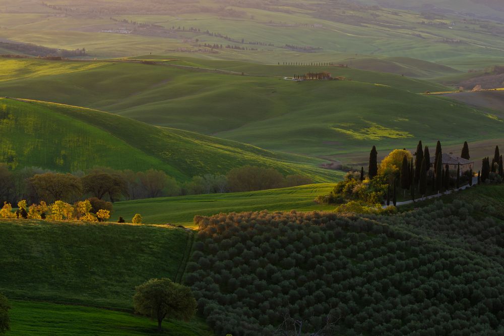 Photograph by Евгения Чех