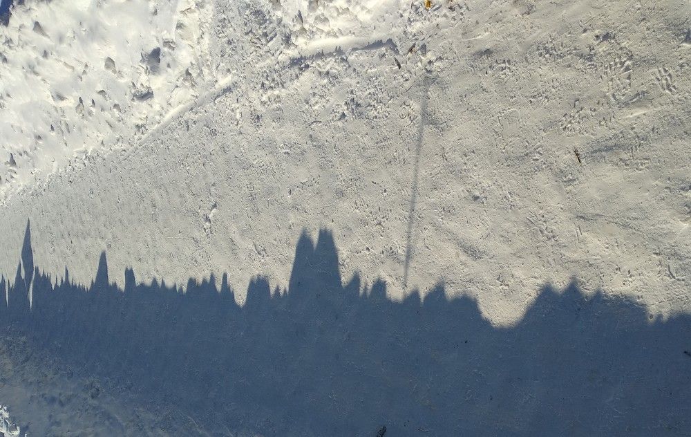 Photograph by Марина Мишина