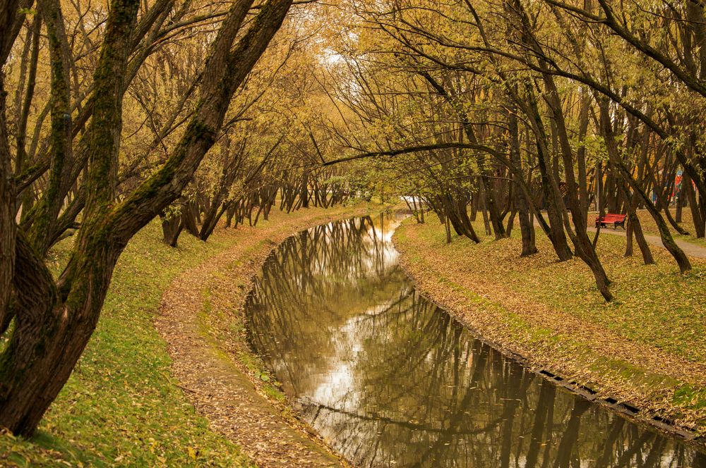 Photograph by Анастасия