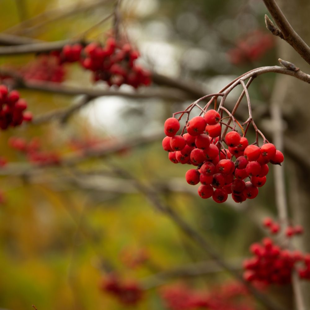 Photograph by Анастасия