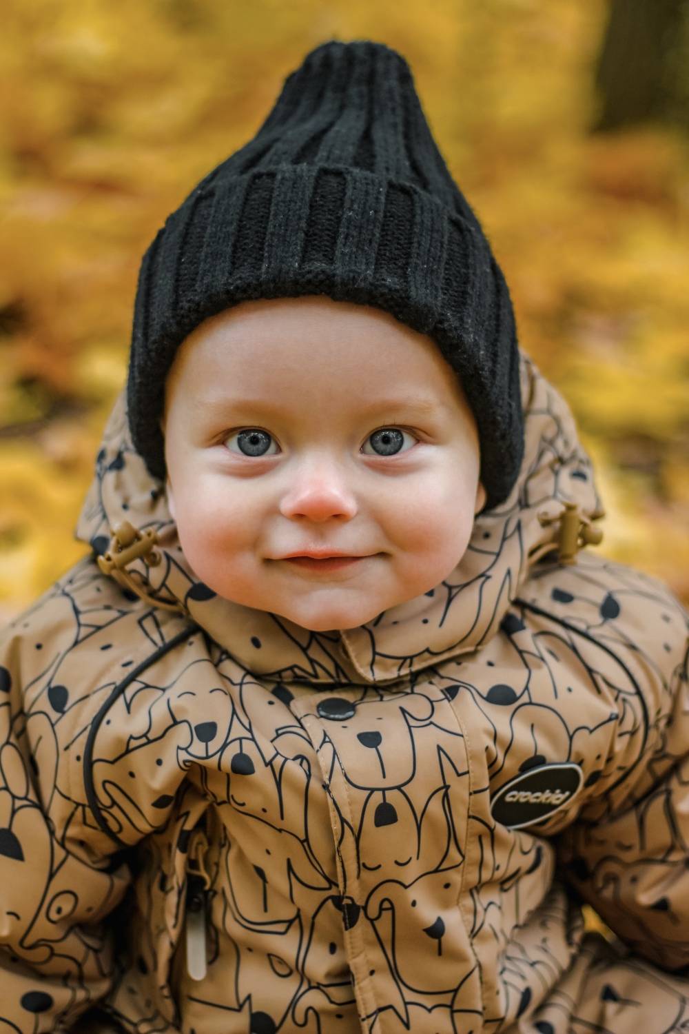 Photo #8341015
