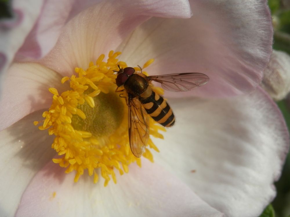 Photograph by Георгий Салюков