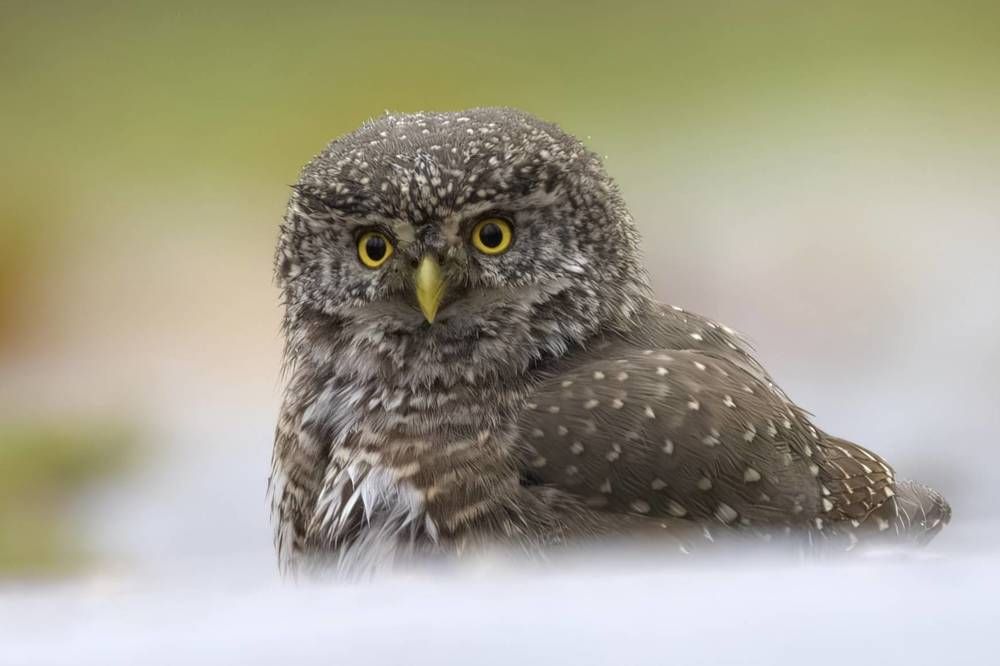 Photograph by Egor Rokita