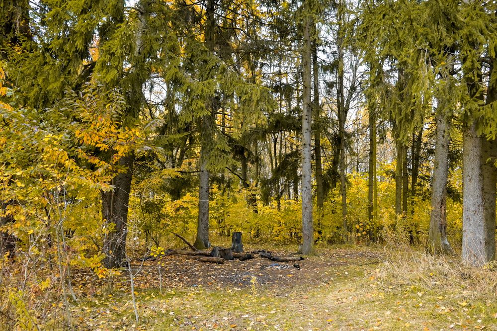 Photograph by Вероника Гоферт