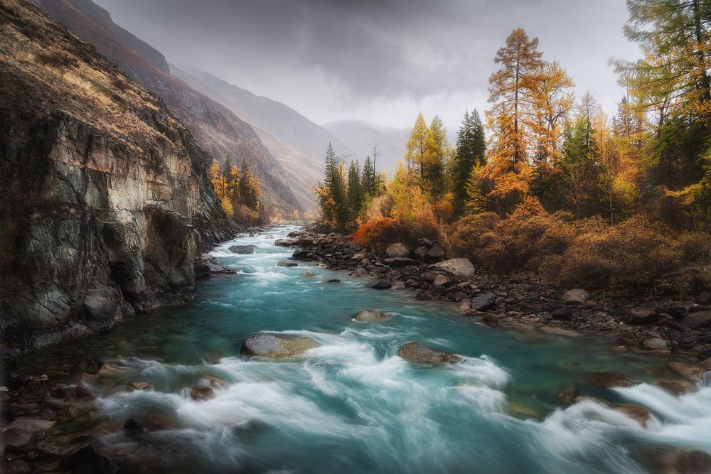 Сентябрьская рапсодия