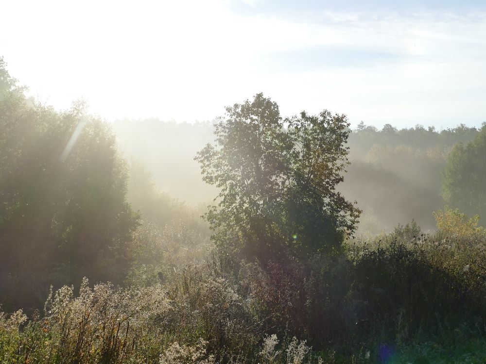 Photograph by Александр Кизим