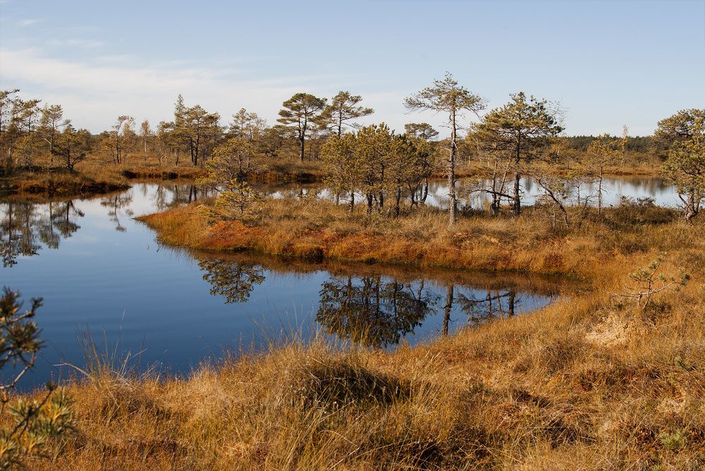 Photograph by Jekaterina