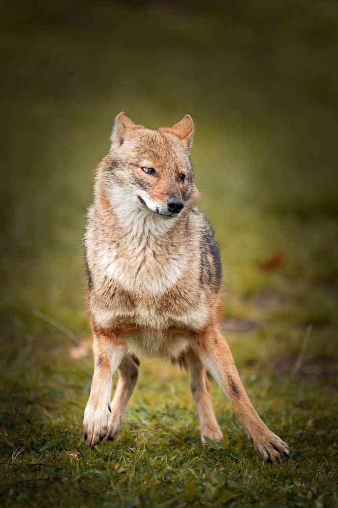 Photograph by David Lerer