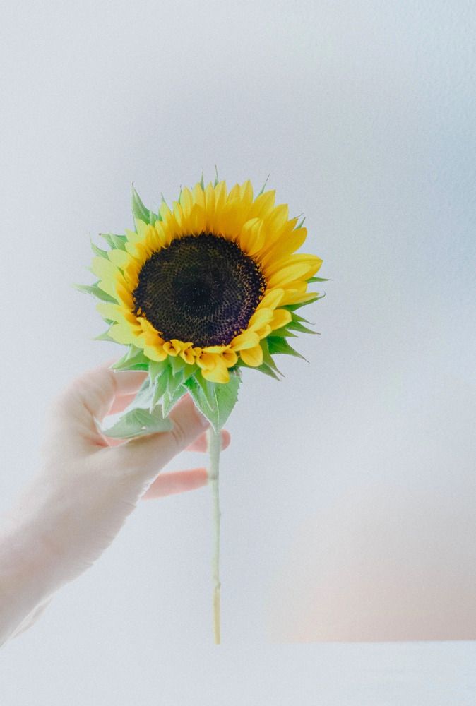 Фотография автора Ольга Забрянская