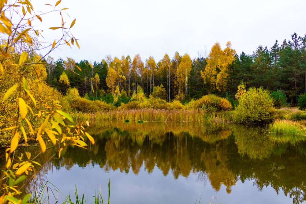 Photograph by Иван Полиненко