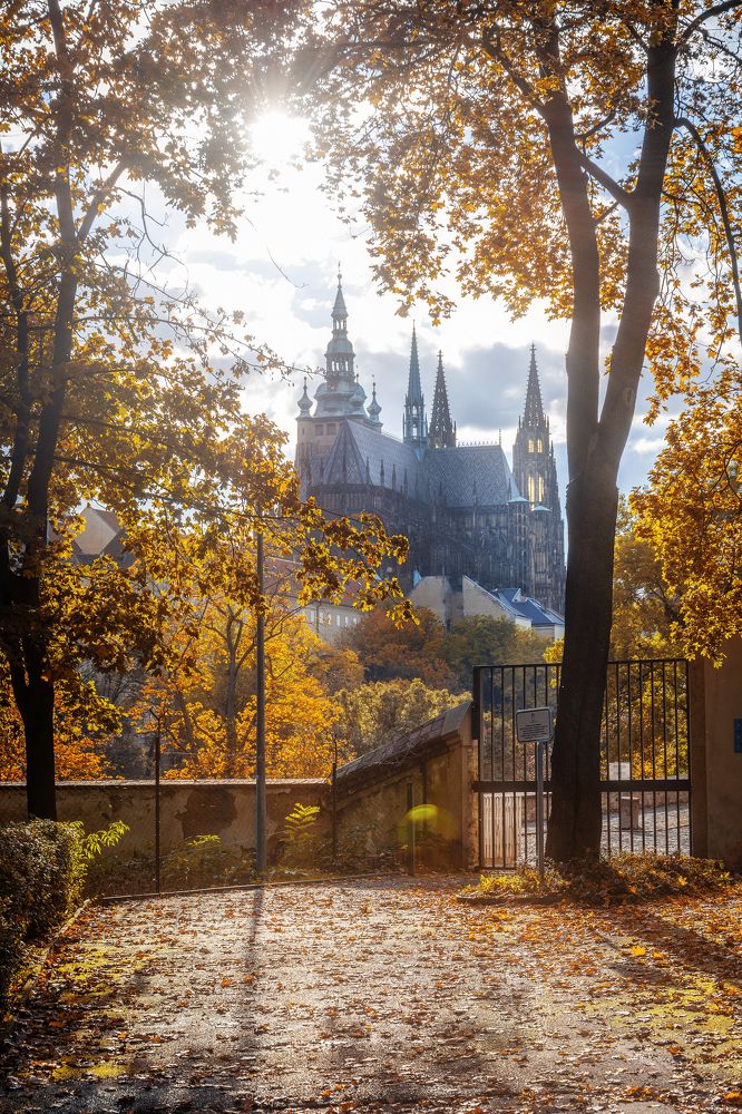 Photograph by Денис Полтораднев