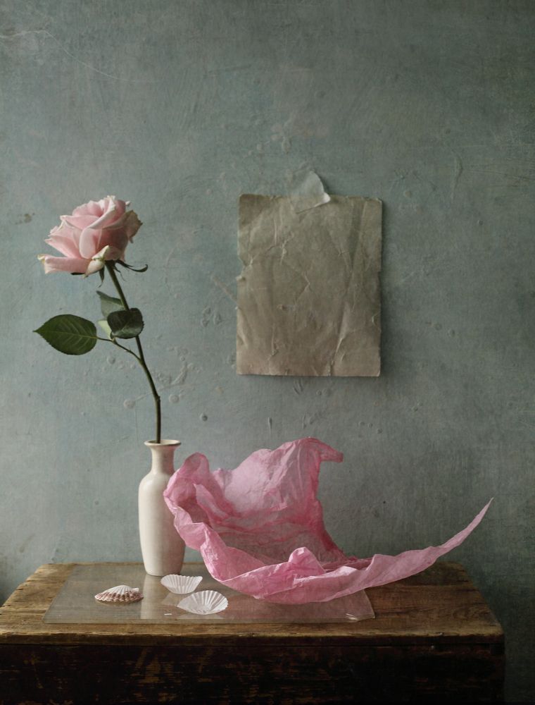 Photograph by Мария Сапего