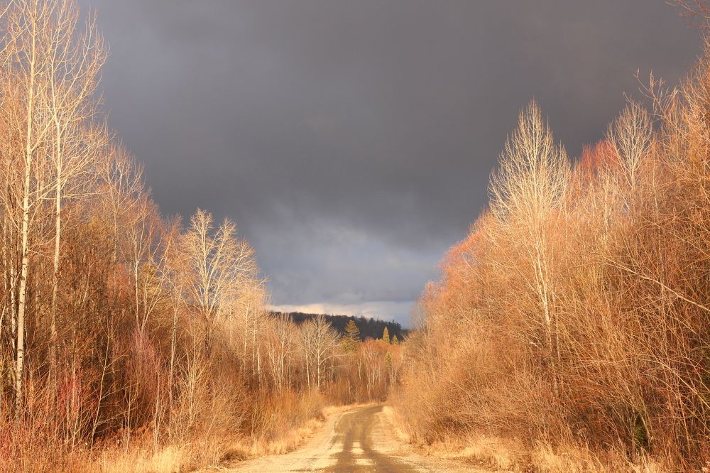 Photograph by Оксана Макрушина