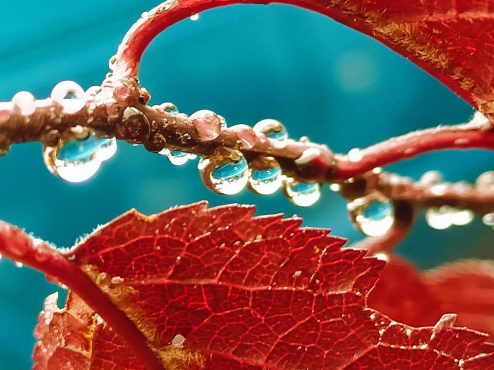 Photograph by Kirsteen Isles