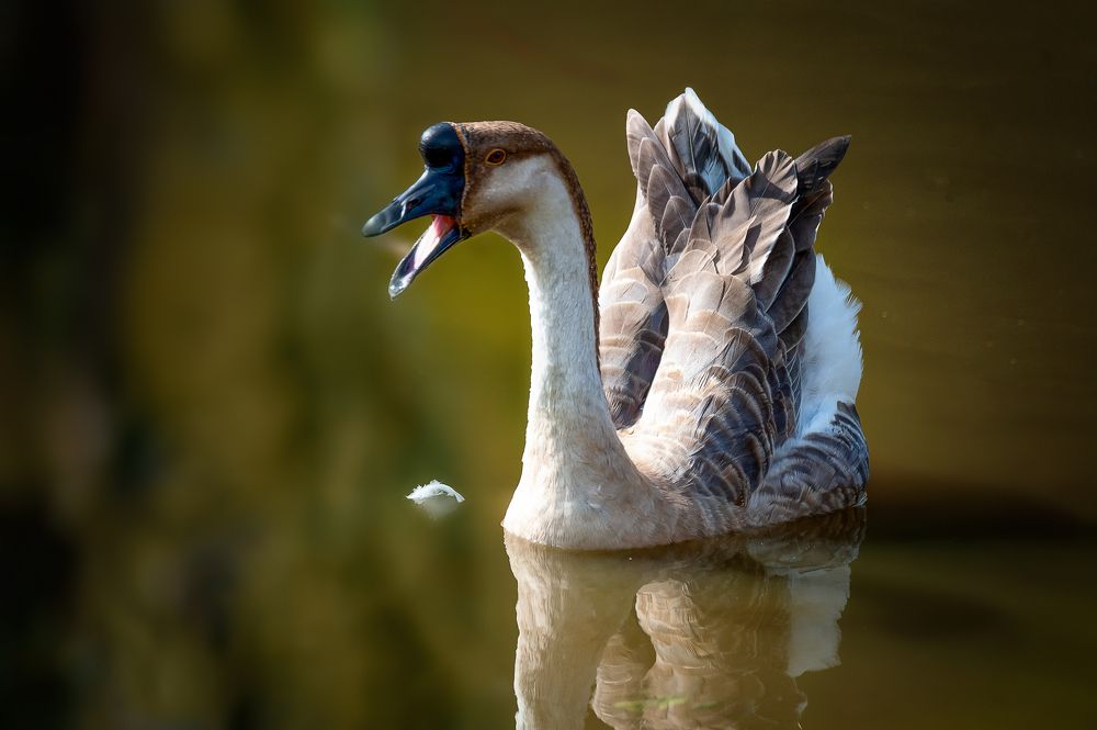 Photograph by David Lerer