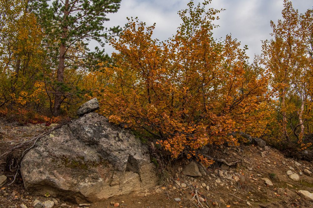 Photograph by Юрий Платухин