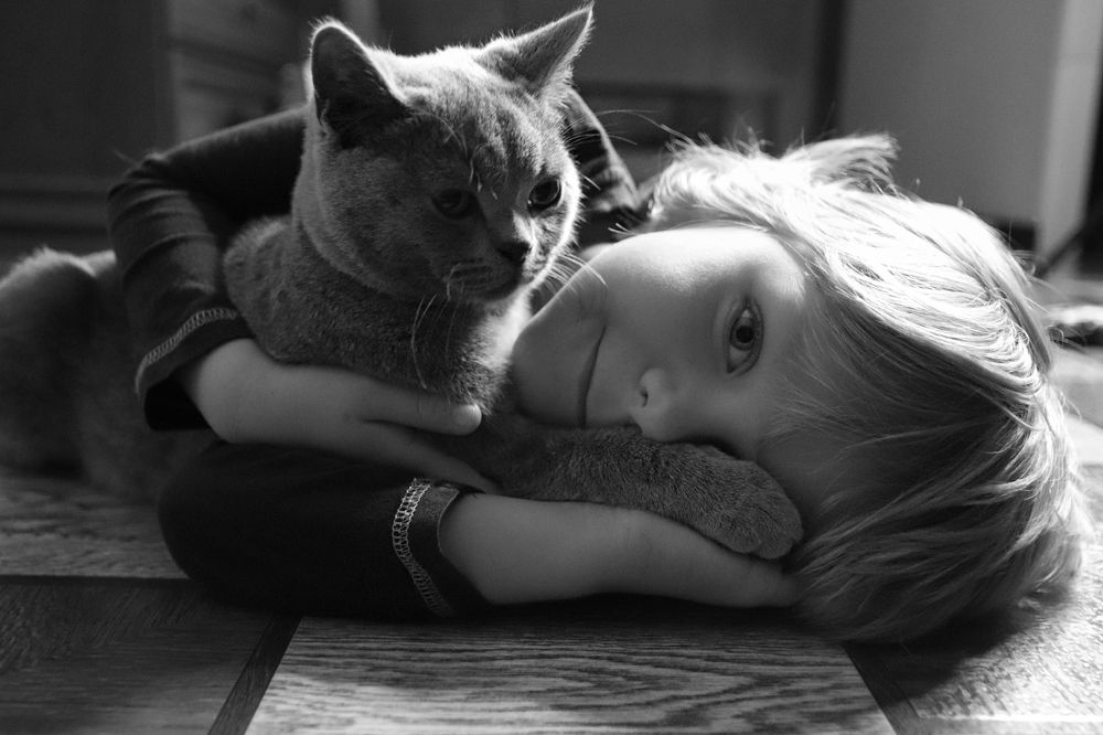 Фотография автора Наталья Боярина