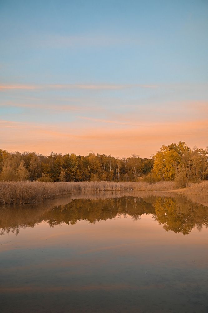 Photograph by Katya Boyer