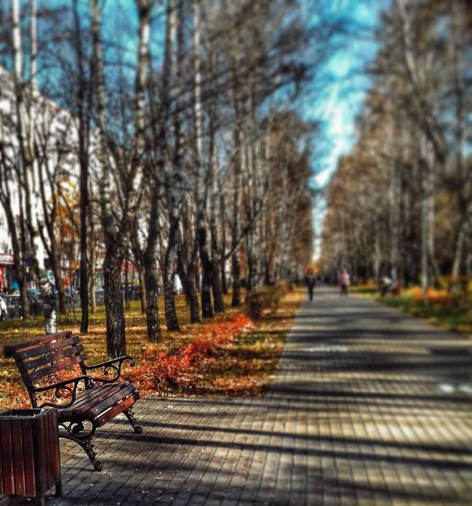 Photograph by мария Жигалова