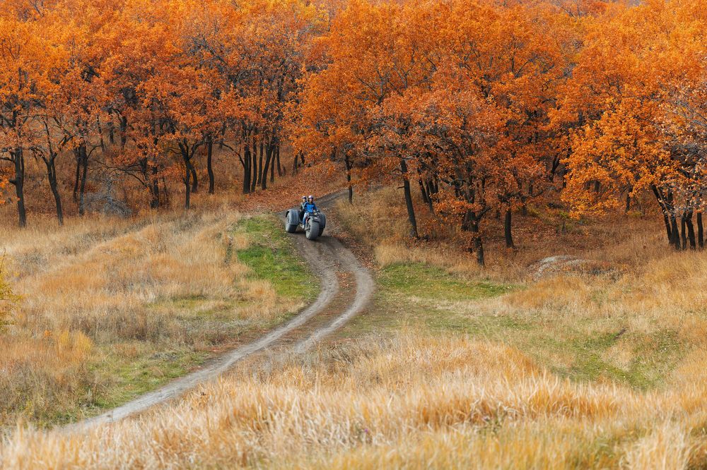 Фотография автора Александр Леонтьев