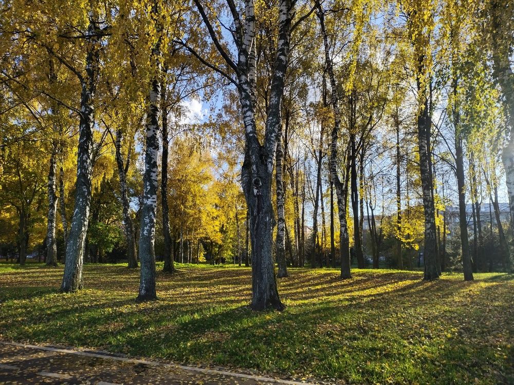 Волжский парк