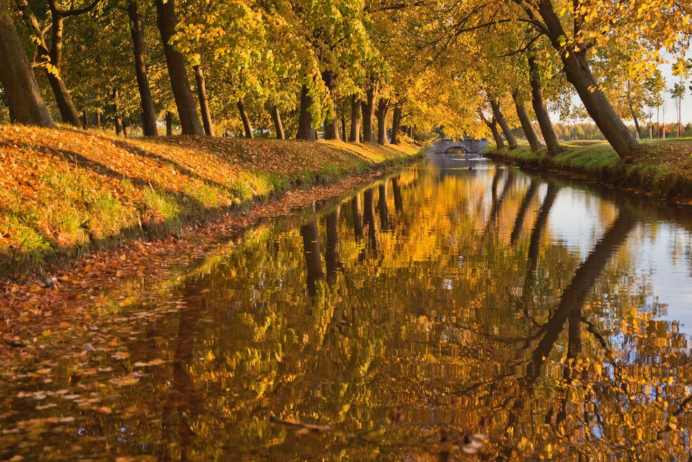 Фотография автора Ольга Виноградова