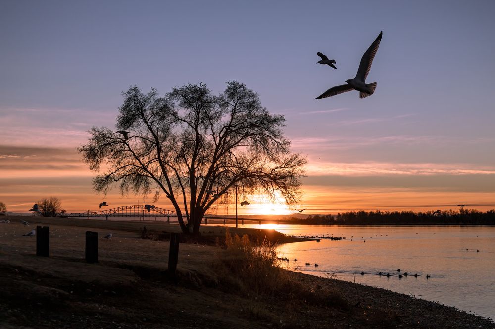 Фотография автора Angela Miller