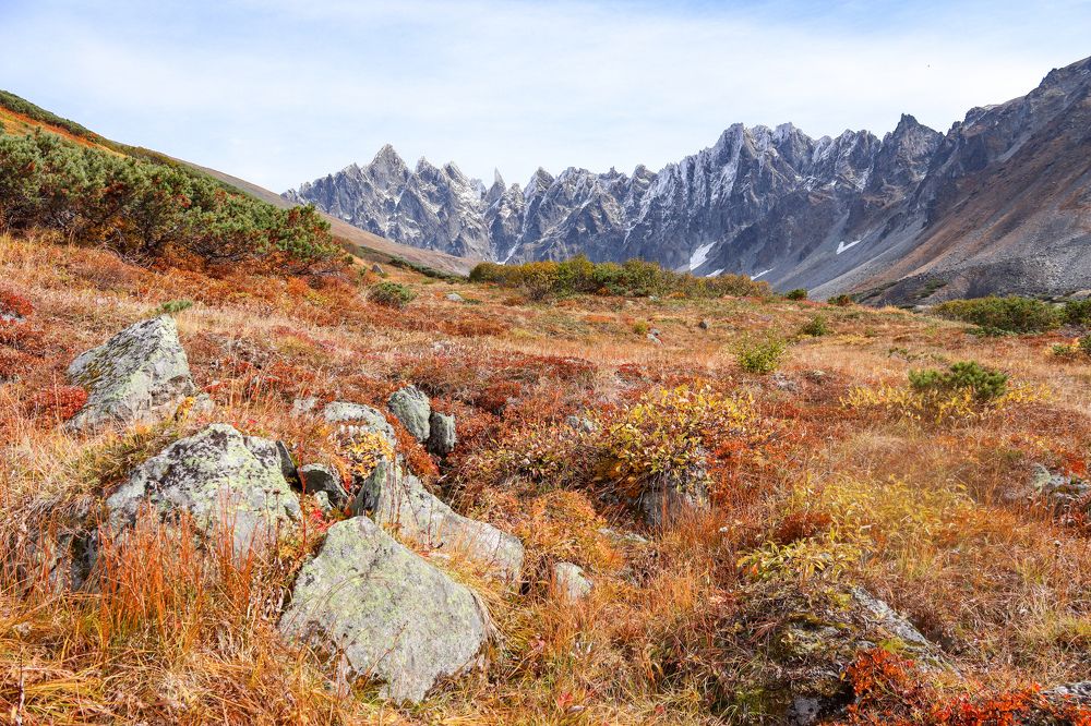 Photograph by Елена Котенко