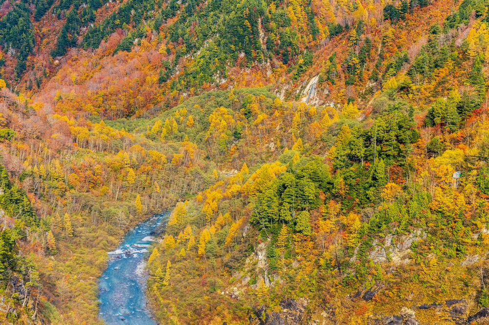 Autumn At The Kurobe Alpine