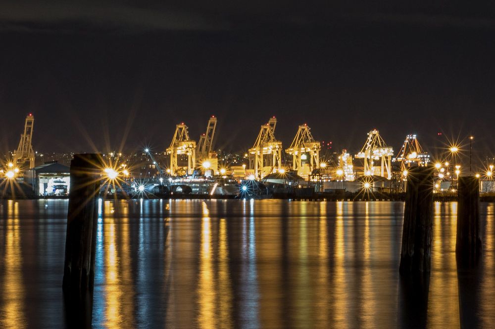 Фотография автора Angela Miller