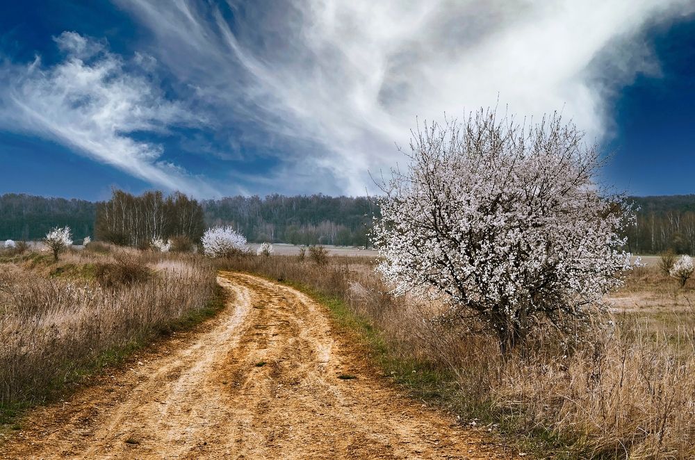 Photograph by Kveta Novotna