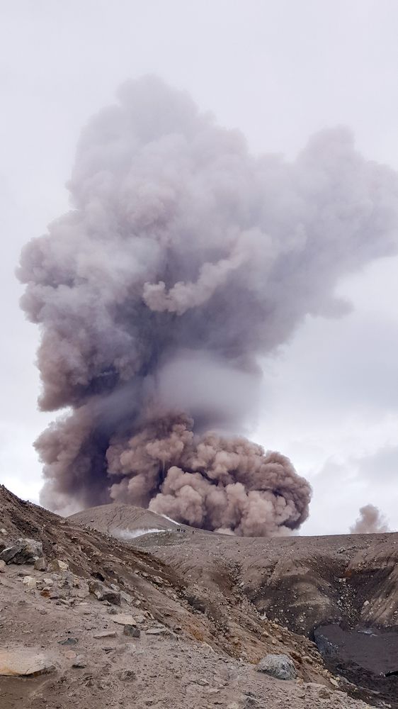 Photograph by Елена Котенко