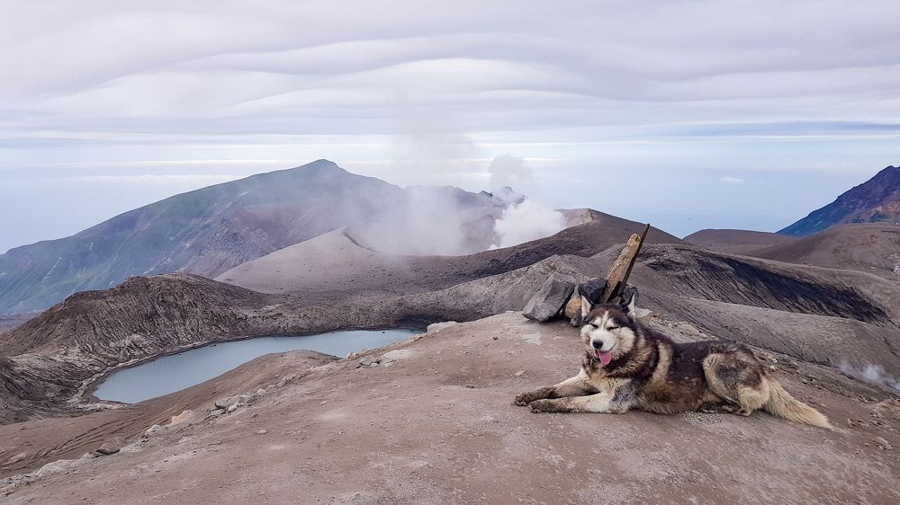 Photograph by Елена Котенко