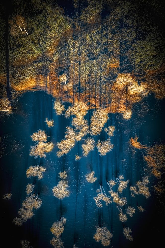 Photograph by Lê Huy Anh