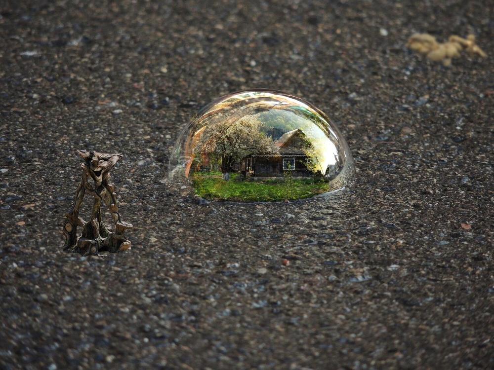 Photograph by Савоцкий Роман