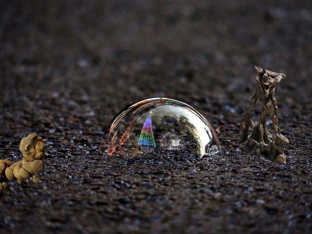 Фотография автора Роман Савоцкий