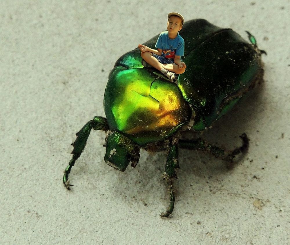 Фотография автора Роман Савоцкий