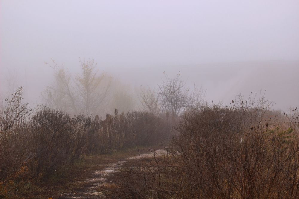 Photograph by Ирина Дмитриенко