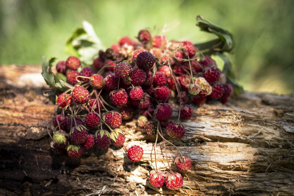 Photograph by Ольга Слотвинская