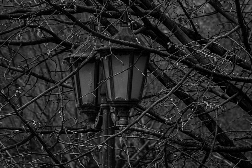 Photograph by Andre Beygijani